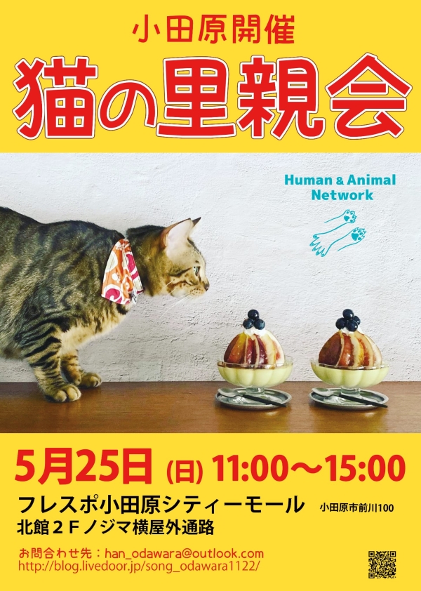 猫の里親会の画像
