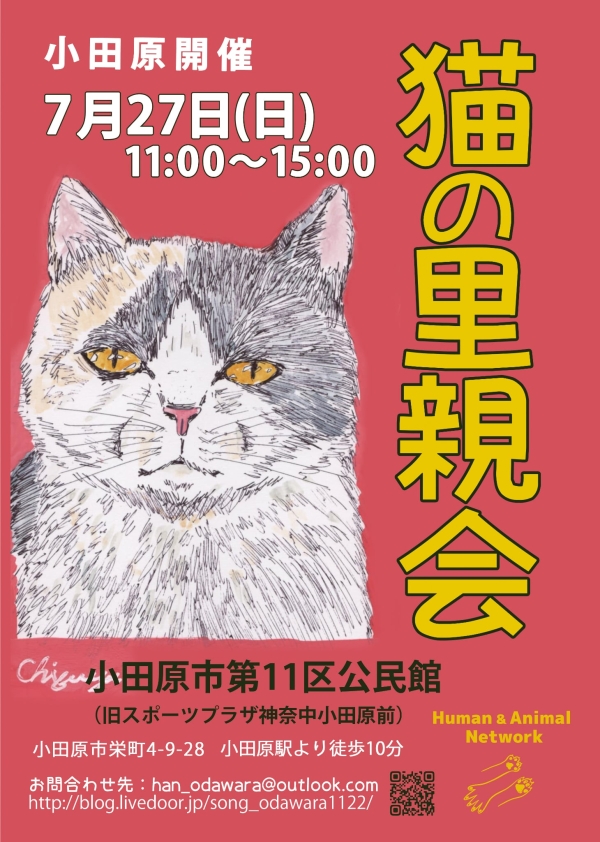 猫の里親会 @小田原市11区公民館の画像