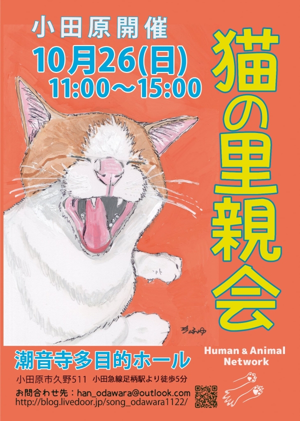 猫の里親会の画像