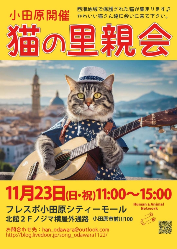 猫の里親会 @フレスポ小田原シティーモールの画像