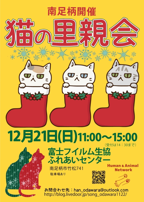 猫の里親会 @南足柄（富士フイルム生協ふれあいセンター）の画像
