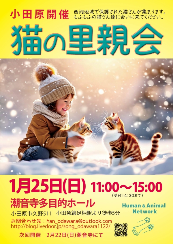 猫の里親会 @小田原（潮音寺）の画像