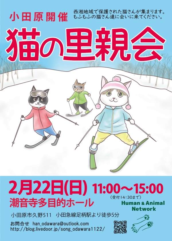 猫の里親会 @小田原（潮音寺）の画像